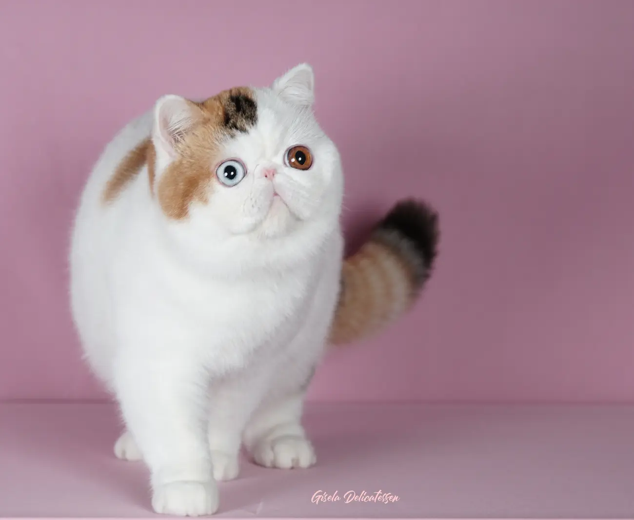 Imagen del artículo Nuestra Filosofía y Compromiso