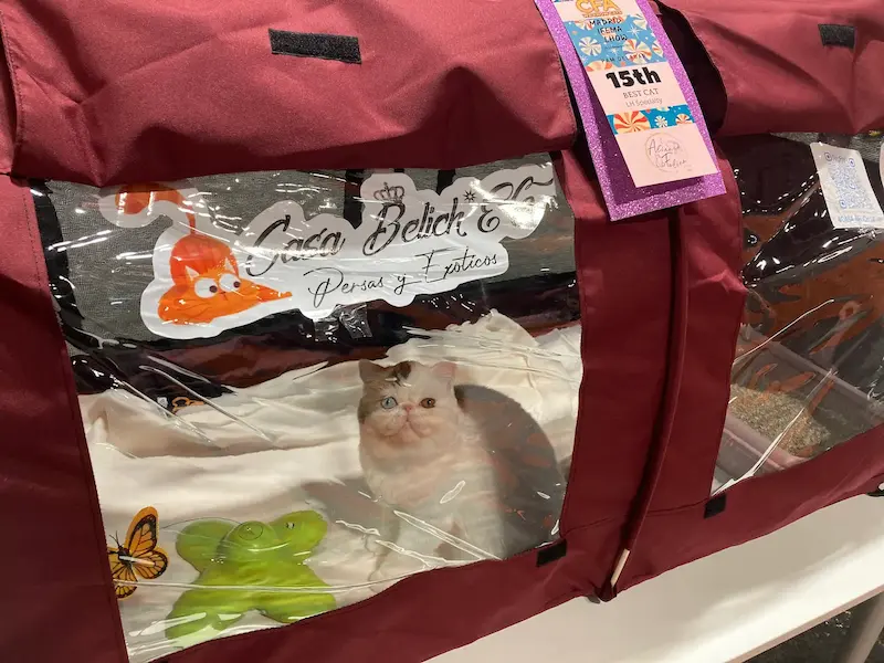 Imagen de la galería Resumen Fotografico 1