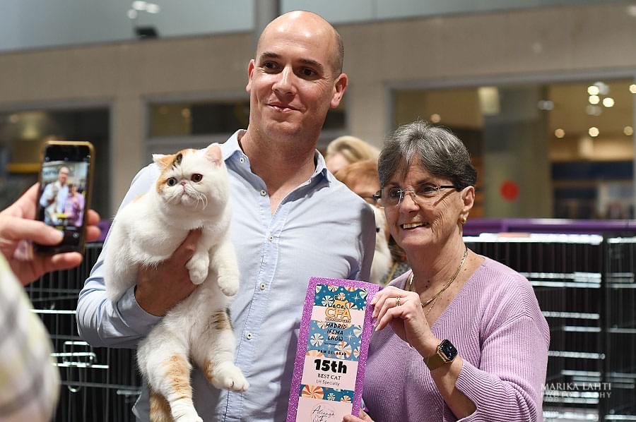 Imagen de la galería Resumen Fotografico 4