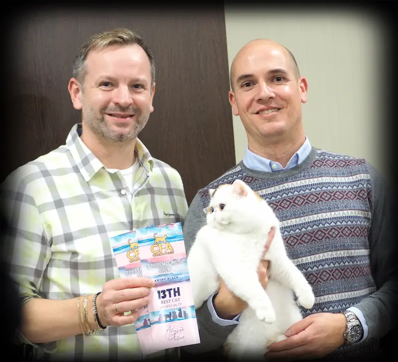 Imagen de la galería Resumén Fotografico - Torremolinos CFA Show 2023 3