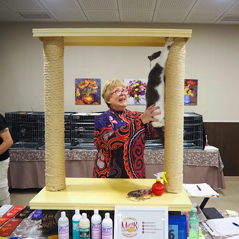 Imagen de la galería Resumén Fotografico - Torremolinos CFA Show 2023 6