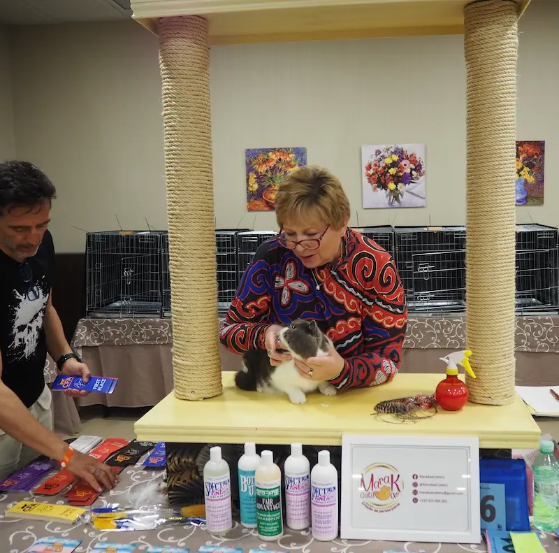 Imagen de la galería Resumén Fotografico - Torremolinos CFA Show 2023 7