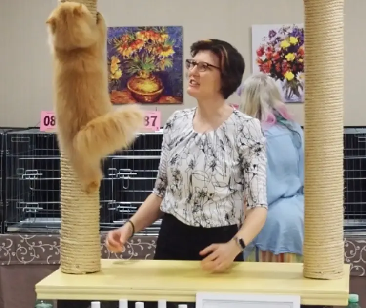 Imagen de la galería Resumén Fotografico - Torremolinos CFA Show 2023 11