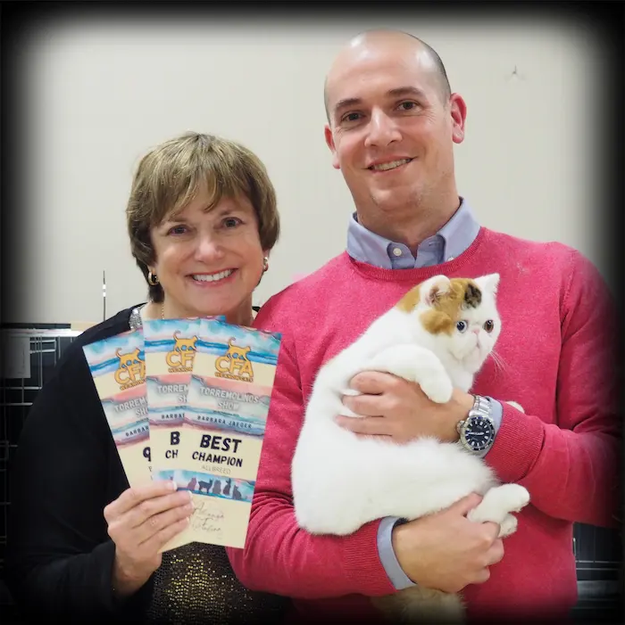 Imagen de la galería Resumén Fotografico - Torremolinos CFA Show 2023 13