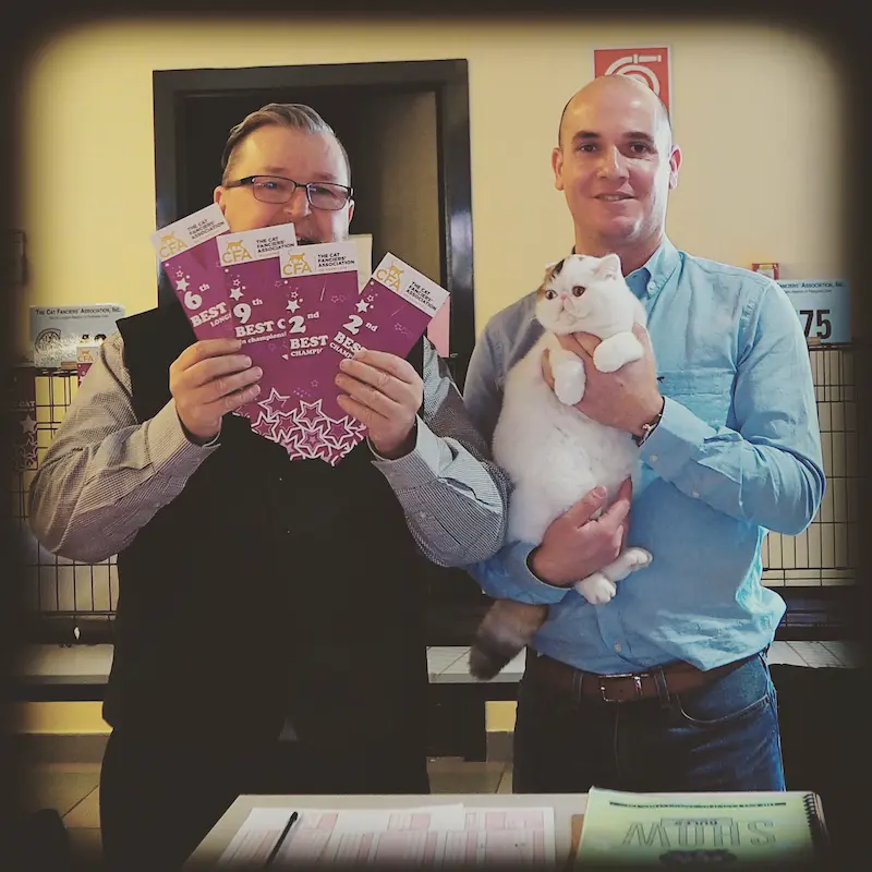 Foto de San Genesio American Cat Show CFA Marzo 2023