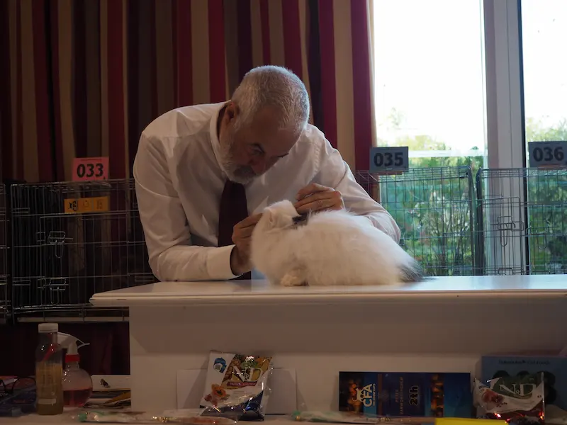 Imagen de la galería Resumen Fotográfico - Alcala de Henares CFA Show 1