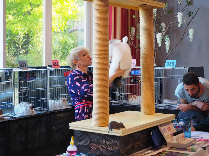 Imagen de la galería Resumen Fotográfico - Alcala de Henares CFA Show 3