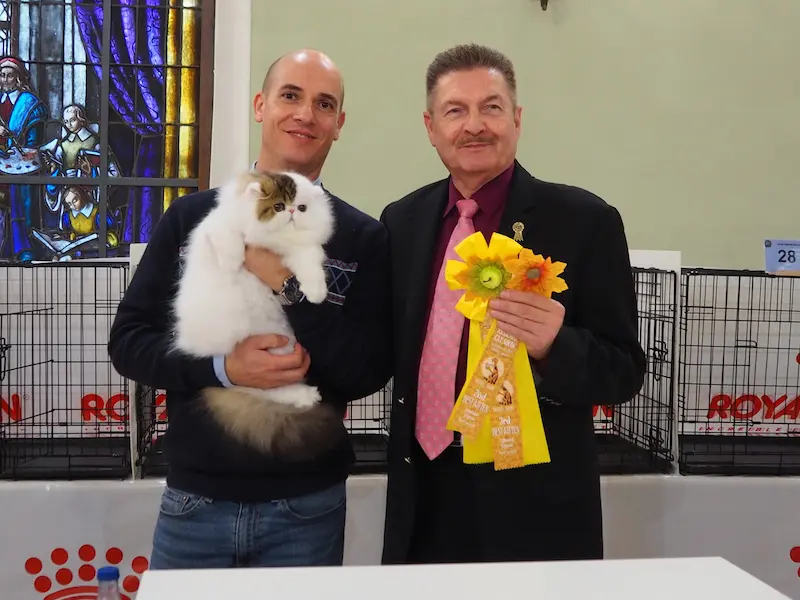 Imagen de la galería Resumen Fotográfico - Bilbao Regional CFA Show 7