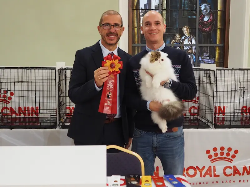 Imagen de la galería Resumen Fotográfico - Bilbao Regional CFA Show 8