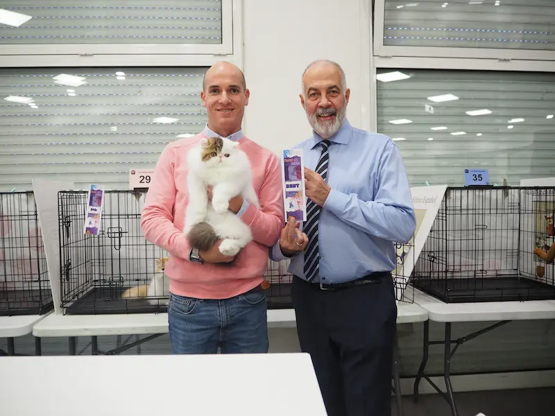 Un Viaje Inolvidable Hacia Nuestro Primer "Best Kitten"