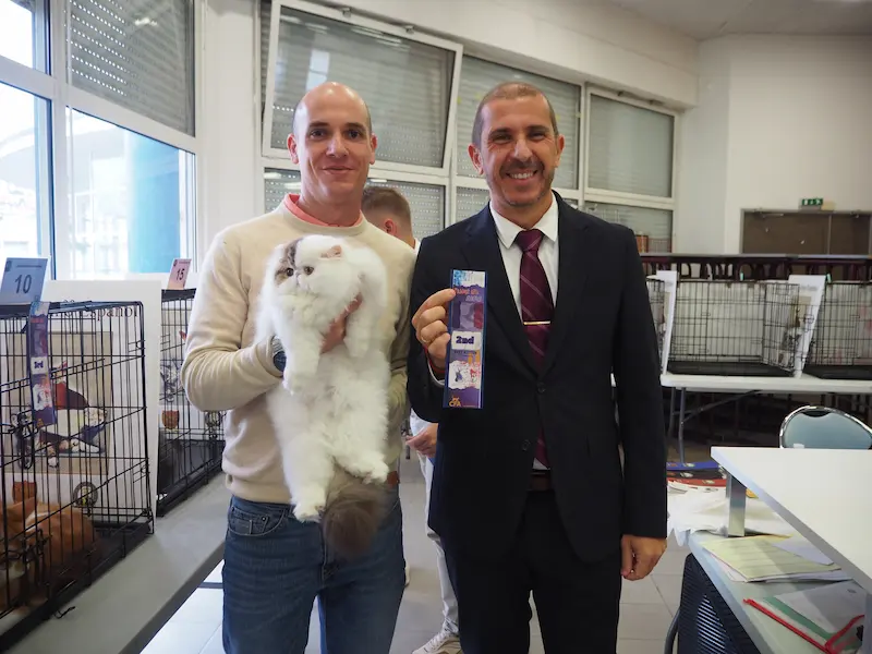 Imagen de la galería Resumen Fotográfico - Marmande American CFA Cat Show 4