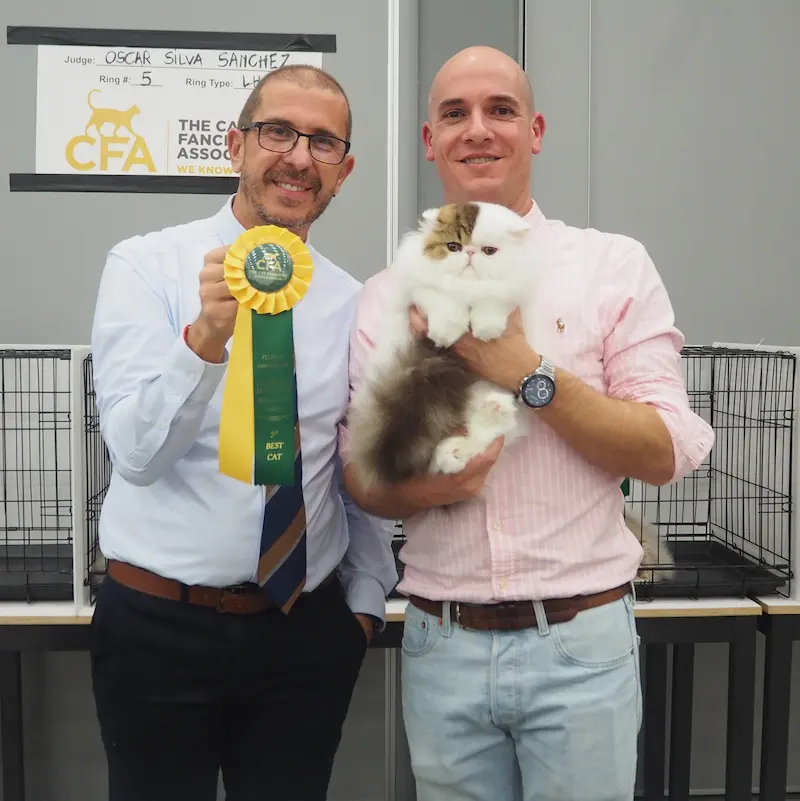 Imagen de la galería Resumen Fotográfico - CFA Wintershow 2023 3