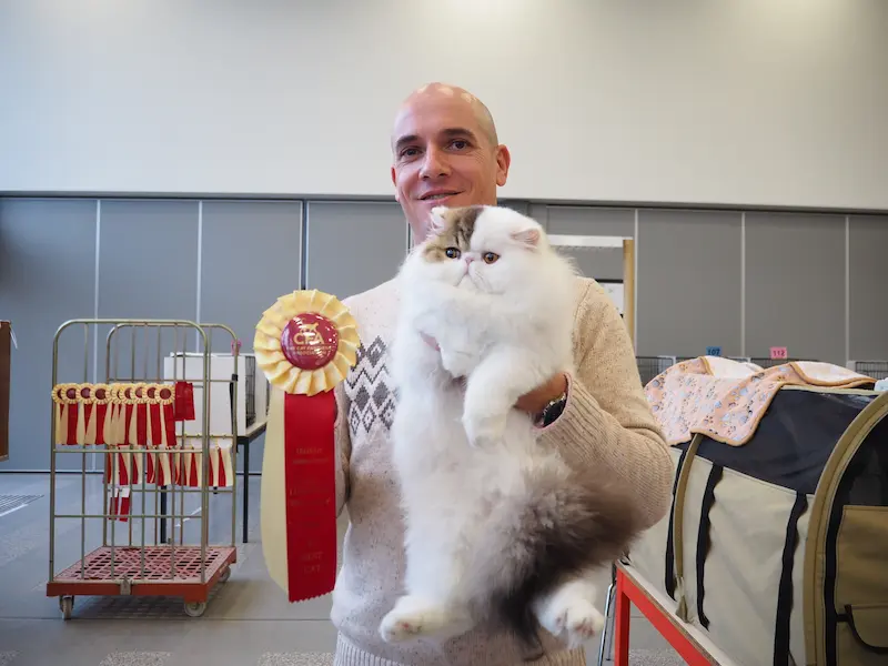 Imagen de la galería Resumen Fotográfico - CFA Wintershow 2023 5