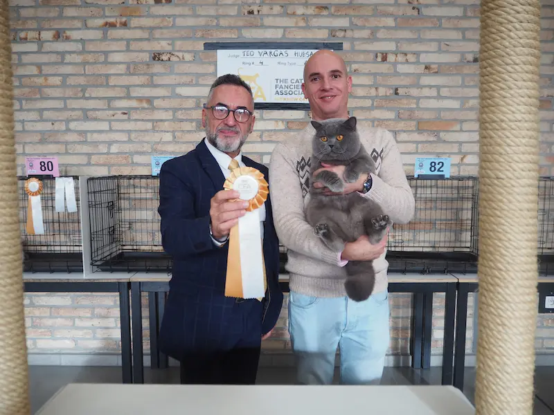 Imagen de la galería Resumen Fotográfico - CFA Wintershow 2023 13