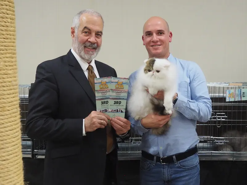 Imagen de la galería Resumen Fotográfico - Torremolinos CFA Show 2024 2