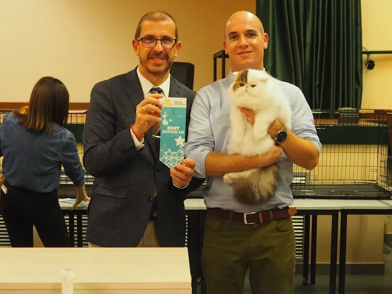 Imagen de la galería Resumen Fotográfico - American Cat CFA Show Noviembre 2023 1