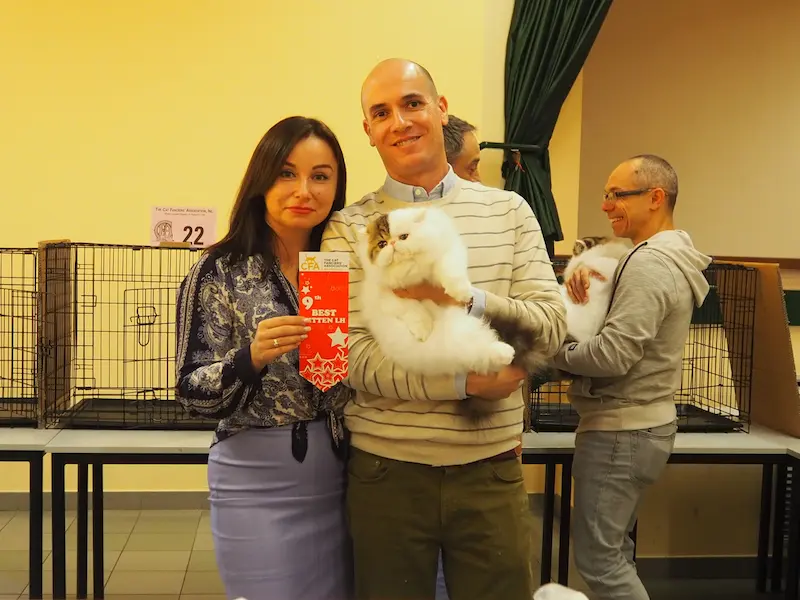 Imagen de la galería Resumen Fotográfico - American Cat CFA Show Noviembre 2023 2