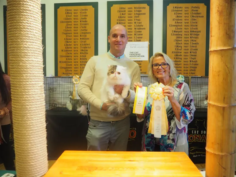 Foto de Ash Lovers of Europe CFA Cat Show