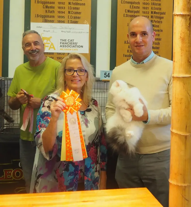 Imagen de la galería Resumen Fotográfico - Ash Lovers of Europe CFA Cat Show 5