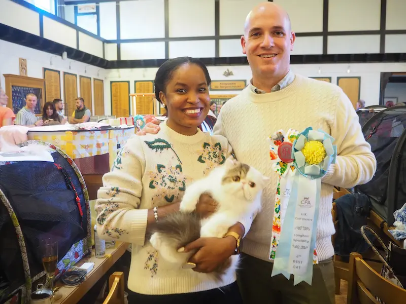 Imagen de la galería Resumen Fotográfico - Ash Lovers of Europe CFA Cat Show 6