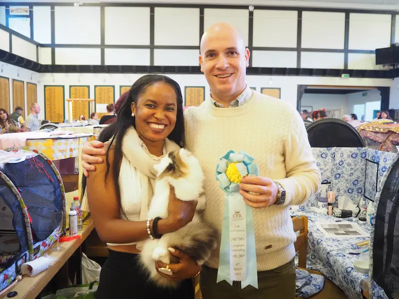 Imagen de la galería Resumen Fotográfico - Ash Lovers of Europe CFA Cat Show 7