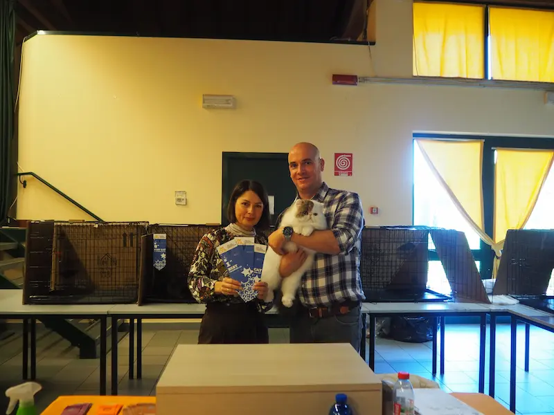 Imagen de la galería Resumen Fotográfico - American Cat CFA Show Noviembre 2024 9