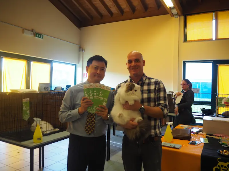 Imagen de la galería Resumen Fotográfico - American Cat CFA Show Noviembre 2024 11