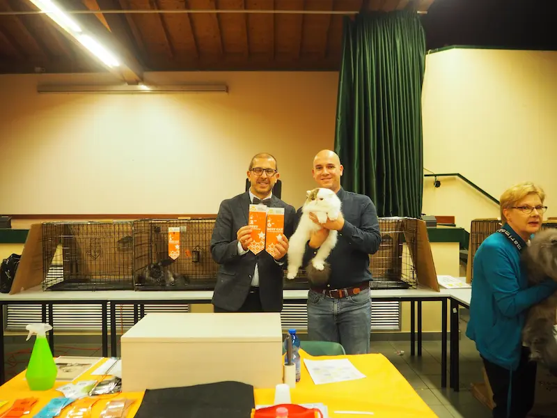 Imagen de la galería Resumen Fotográfico - American Cat CFA Show Noviembre 2024 15