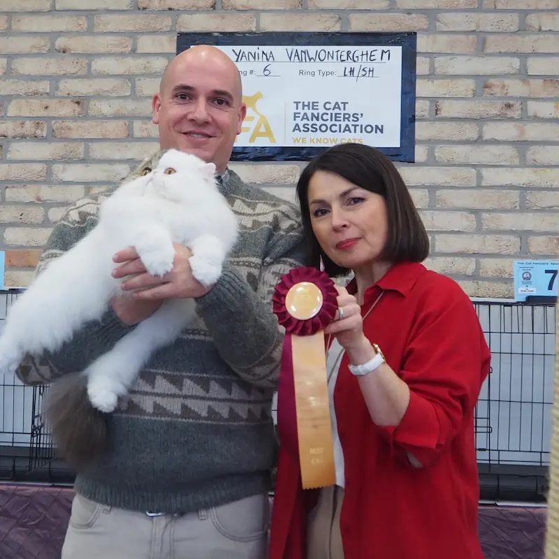 Imagen de la galería Resumen Fotográfico - CFA Wintershow 2024 1