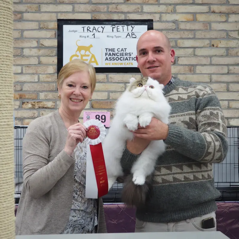 Imagen de la galería Resumen Fotográfico - CFA Wintershow 2024 2