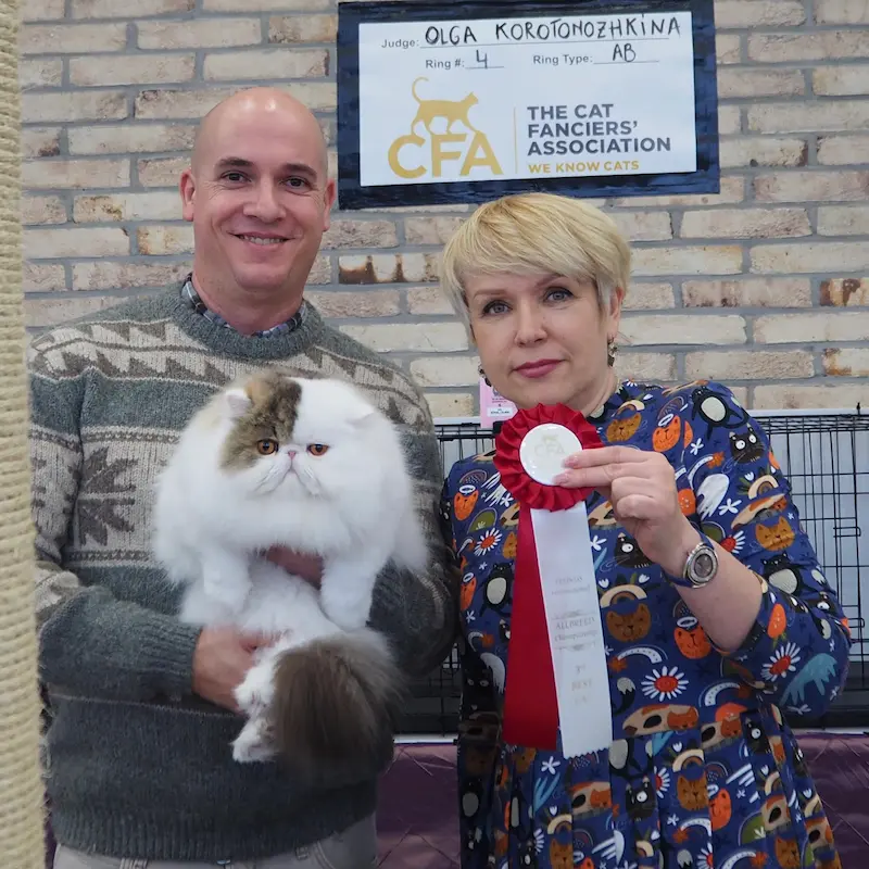 Imagen de la galería Resumen Fotográfico - CFA Wintershow 2024 4