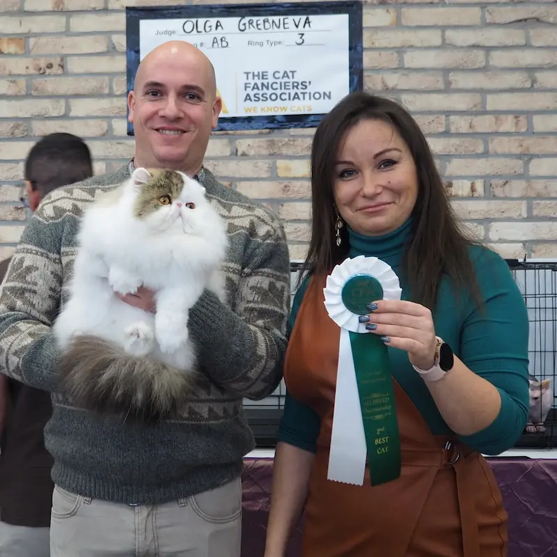 Imagen de la galería Resumen Fotográfico - CFA Wintershow 2024 5