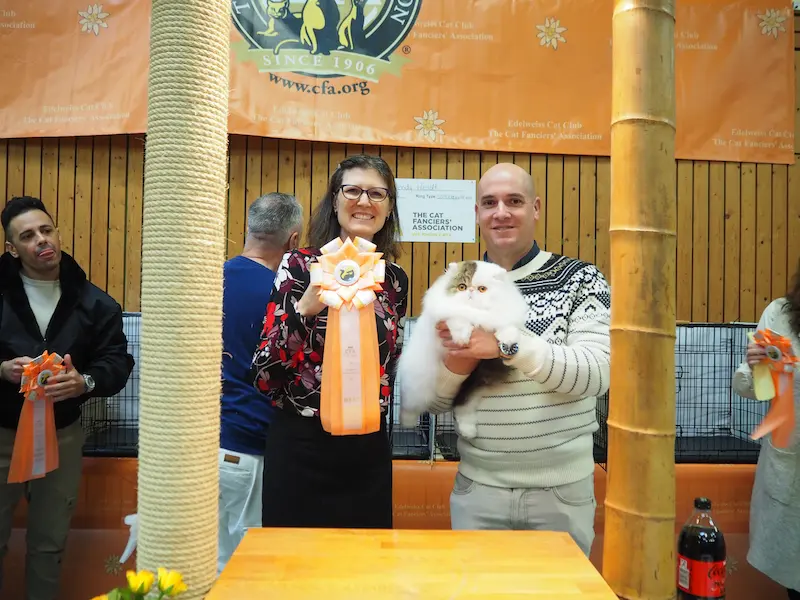 Imagen de la galería Resumen Fotográfico - Happy New Year CFA Show 1