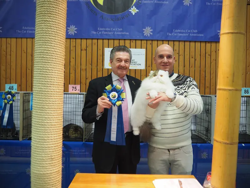 Imagen de la galería Resumen Fotográfico - Happy New Year CFA Show 2