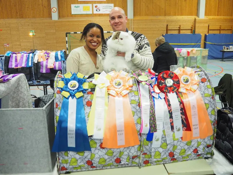 Imagen de la galería Resumen Fotográfico - Happy New Year CFA Show 8