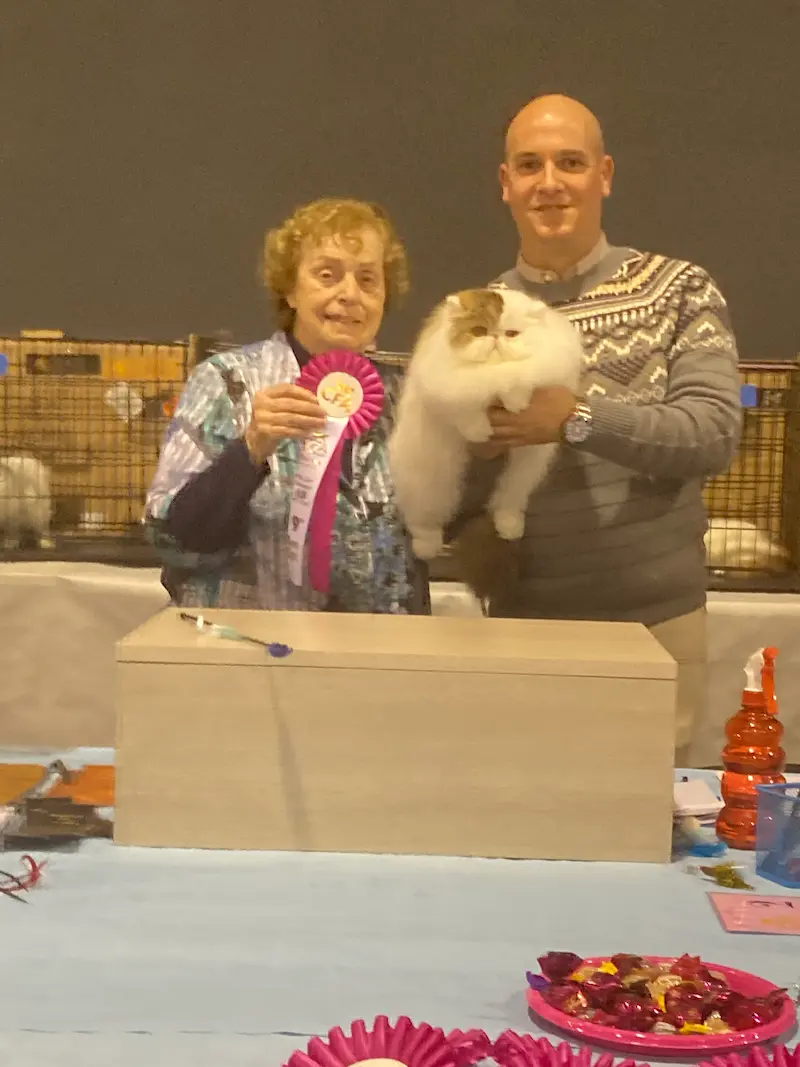 Imagen de la galería Resumen Fotográfico - Padova American CFA Cat Show 1