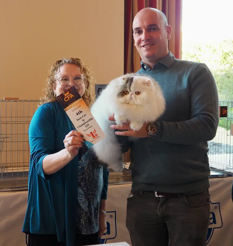 Imagen de la galería Resumen Fotográfico - Fenix Paw Parade International CFA Cat Show 2025 1