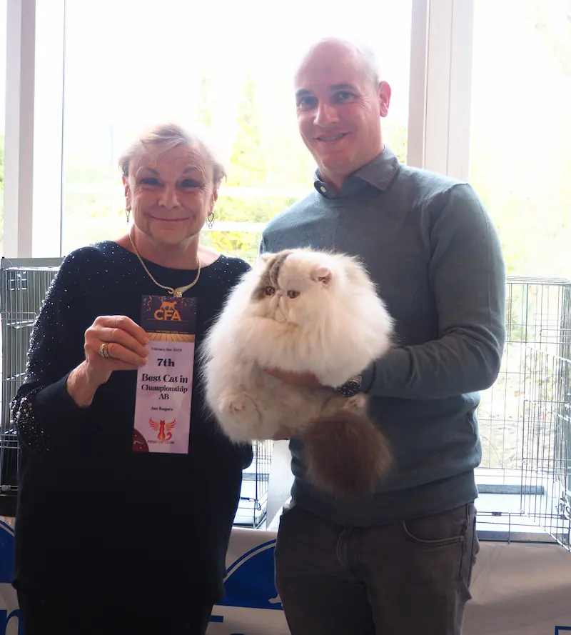 Imagen de la galería Resumen Fotográfico - Fenix Paw Parade International CFA Cat Show 2025 4