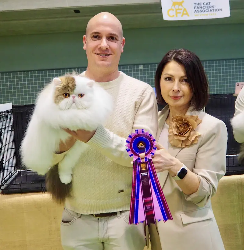 Imagen de la galería Resumen Fotográfico - 20th-21th International CFA Cat Show 8