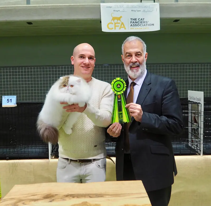 Imagen de la galería Resumen Fotográfico - 20th-21th International CFA Cat Show 9