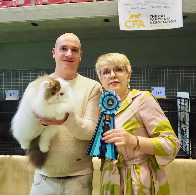 Imagen de la galería Resumen Fotográfico - 20th-21th International CFA Cat Show 10