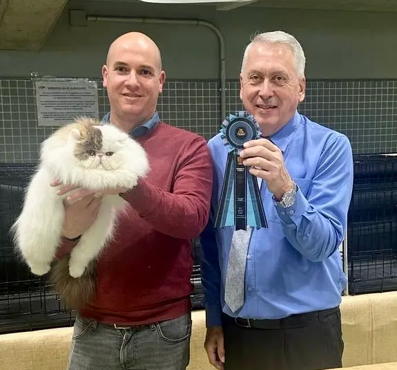 Imagen de la galería Resumen Fotográfico - 20th-21th International CFA Cat Show 13