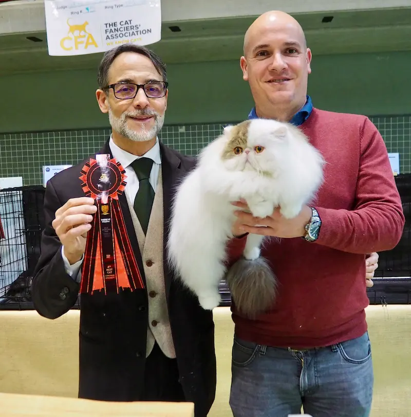Imagen de la galería Resumen Fotográfico - 20th-21th International CFA Cat Show 15