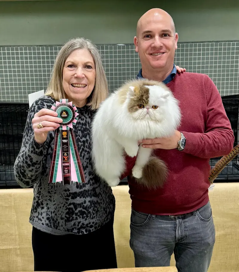 Imagen de la galería Resumen Fotográfico - 20th-21th International CFA Cat Show 16