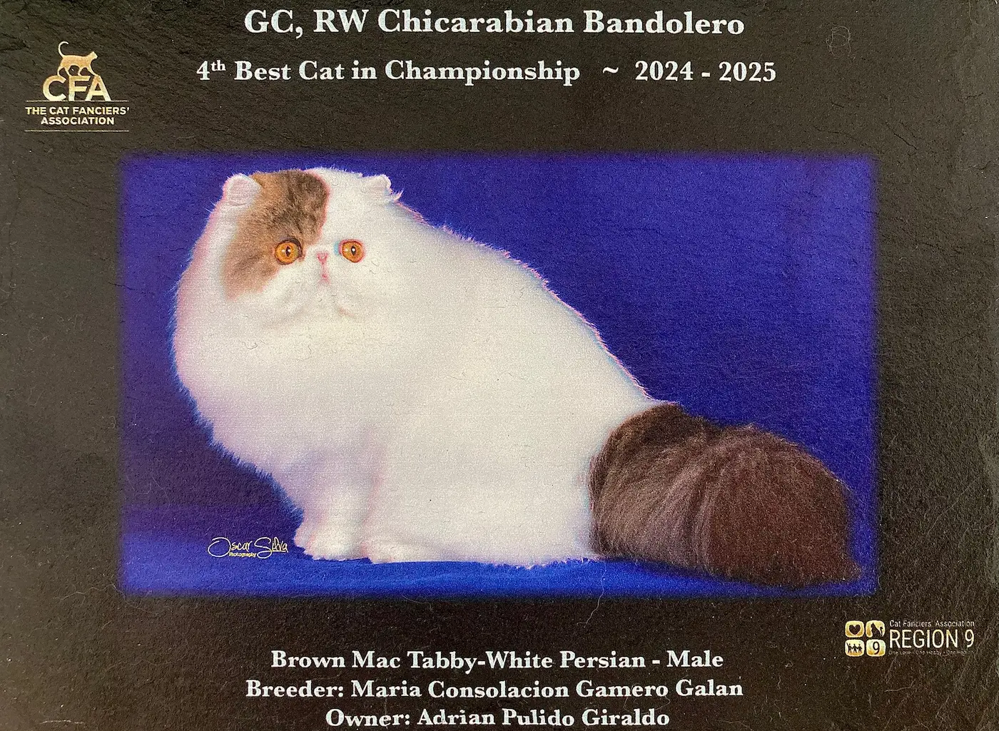 Imagen de la galería Fotos 3