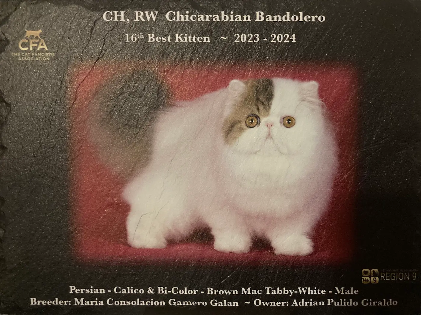 Imagen de la galería Fotos 5