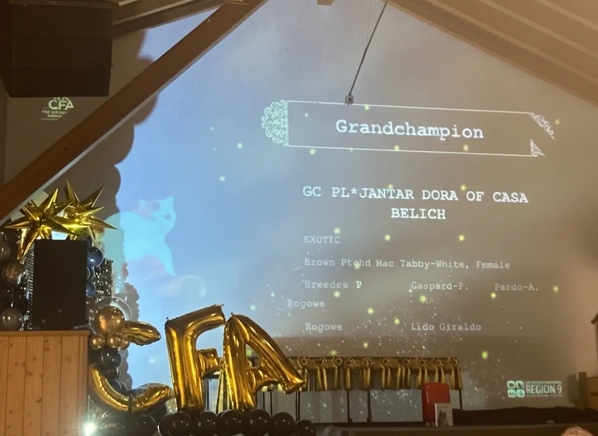 Imagen de la galería Fotos 2