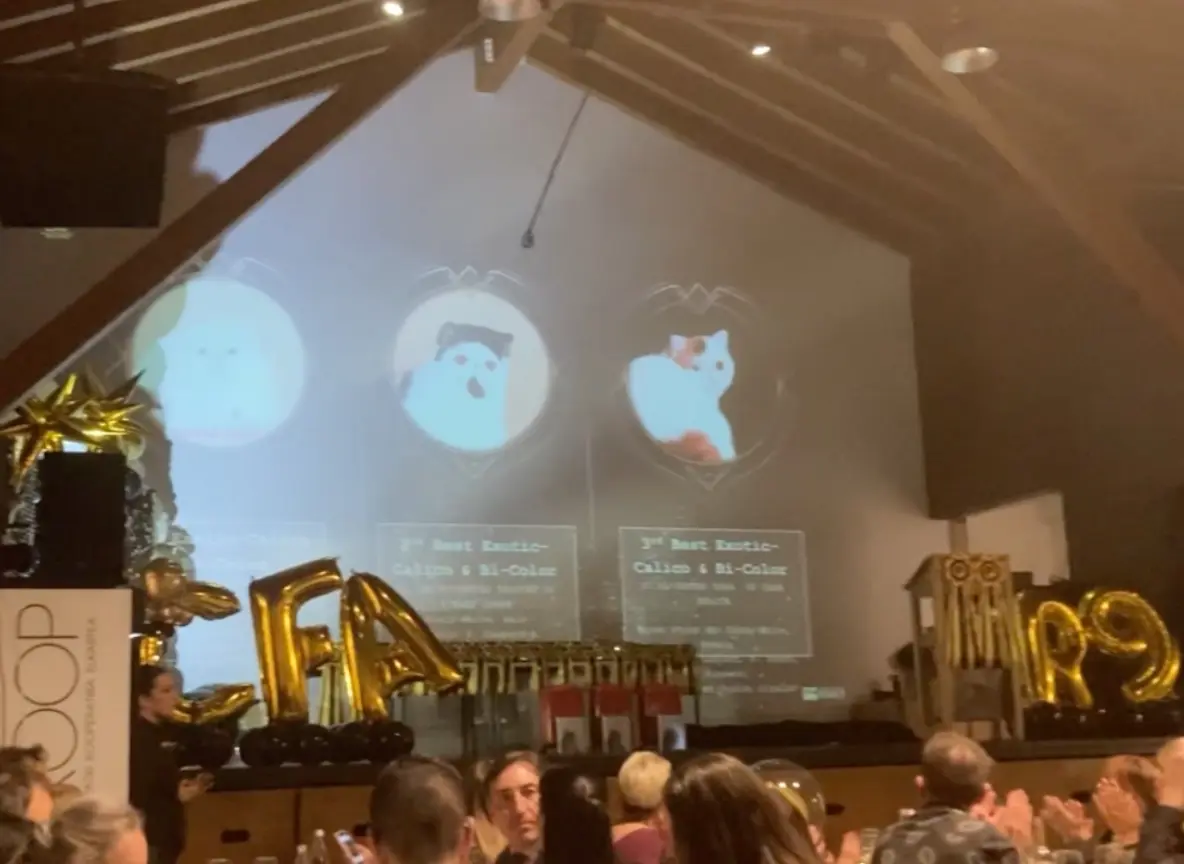 Imagen de la galería Fotos 3