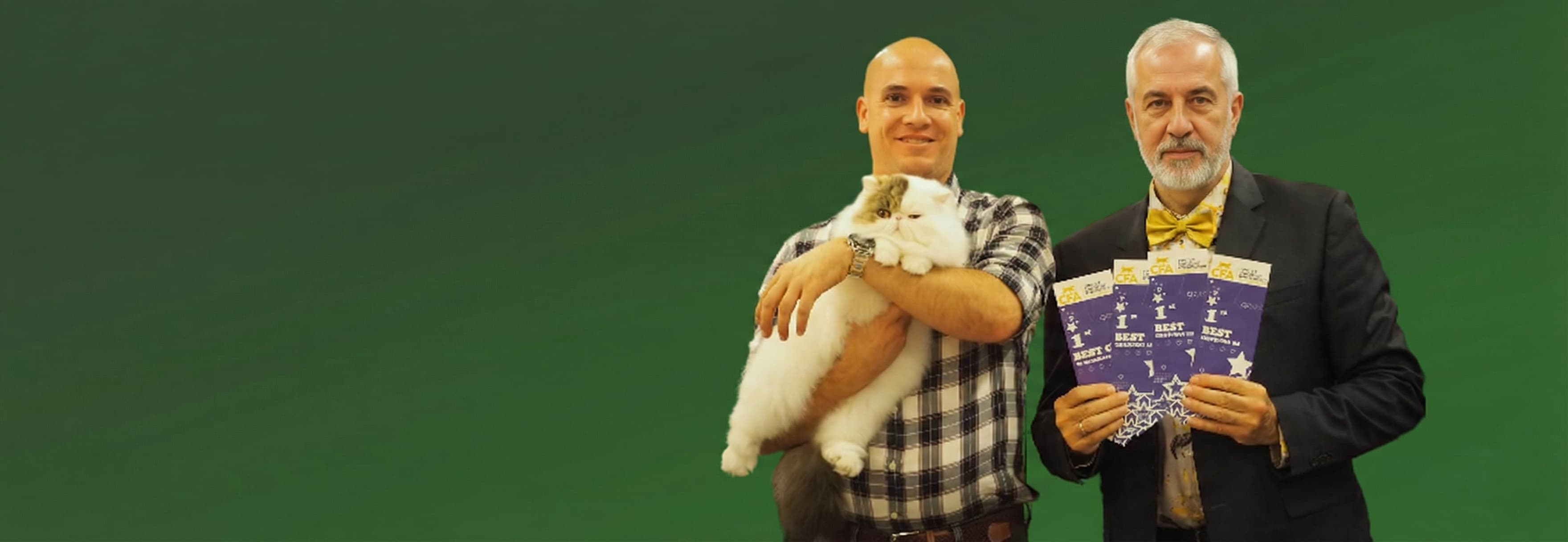 Banner de Shows y Premios CFA de Casa Belich